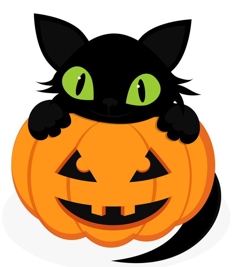 black-cat-w-pumpkin e_1.jpg